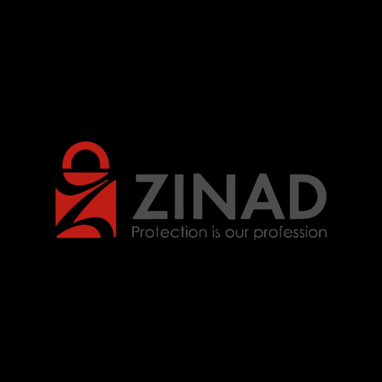 ZINAD IT